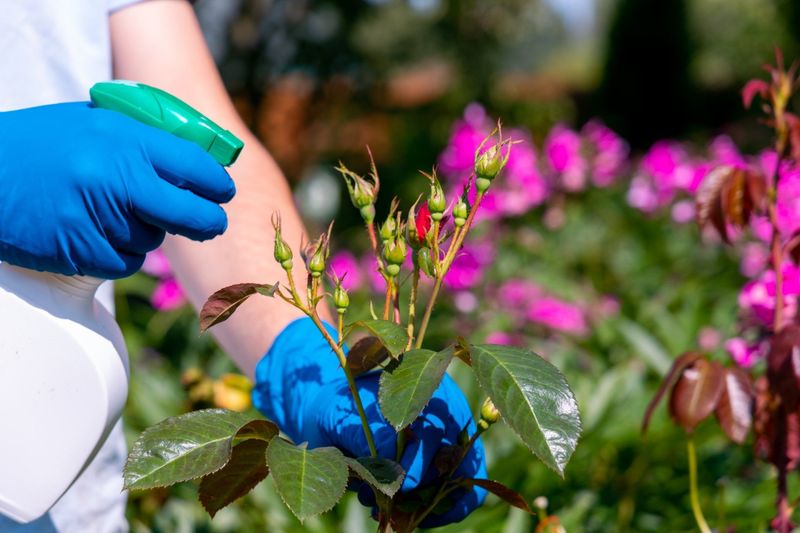 Neglecting Pest Control