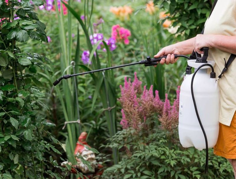 Neglecting Pollinators