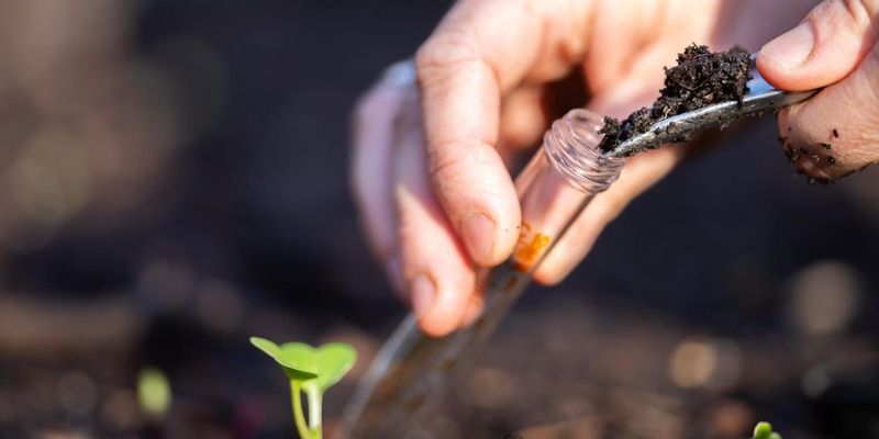 Neglecting Regular Soil Testing