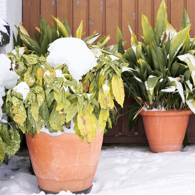 Neglecting Seasonal Changes