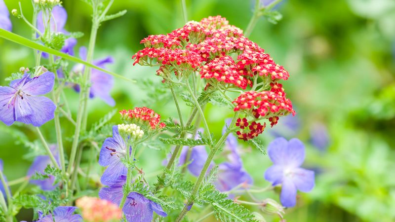 Neglecting Seasonal Color