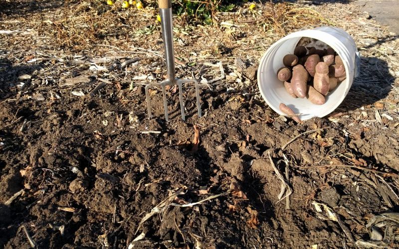Neglecting Soil Health
