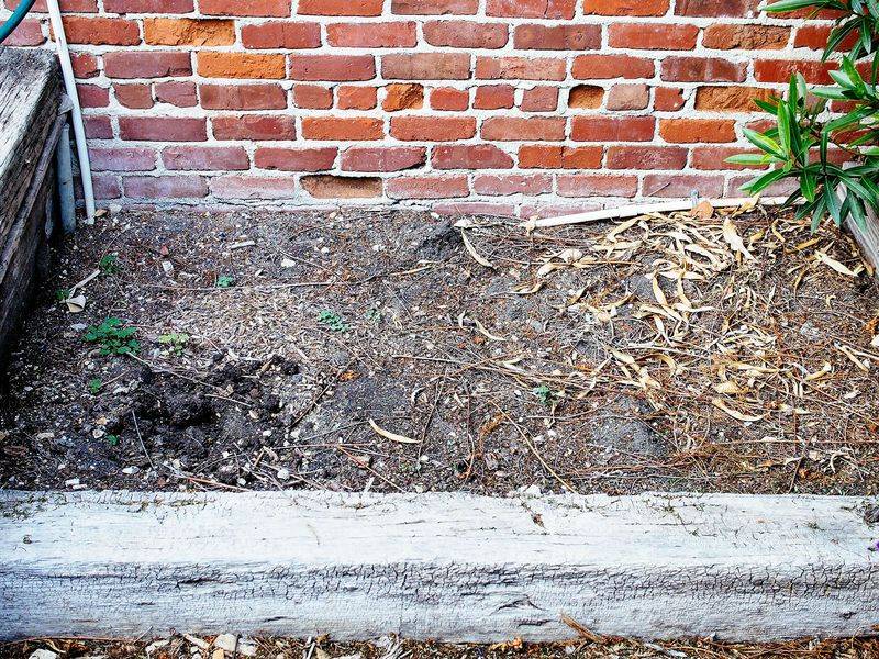 Neglecting Soil Microorganisms