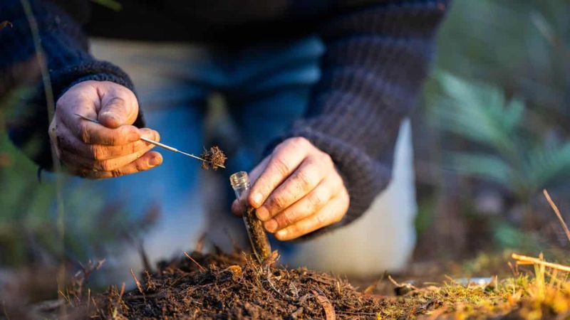 Neglecting Soil Testing