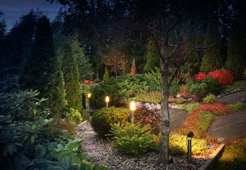 Night Gardens
