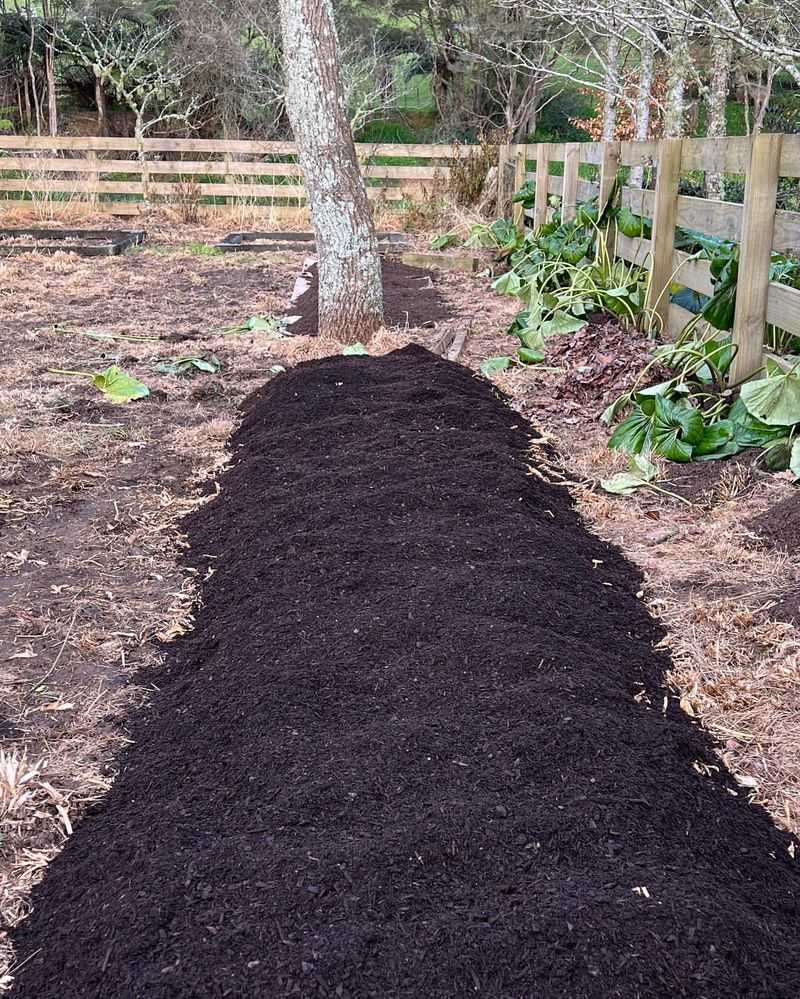 No-Dig Gardening