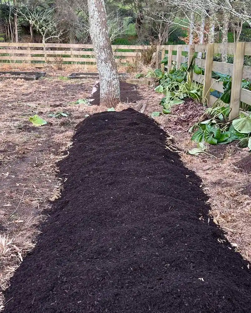 No-Dig Gardening