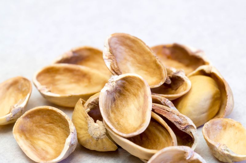 Nut Shells