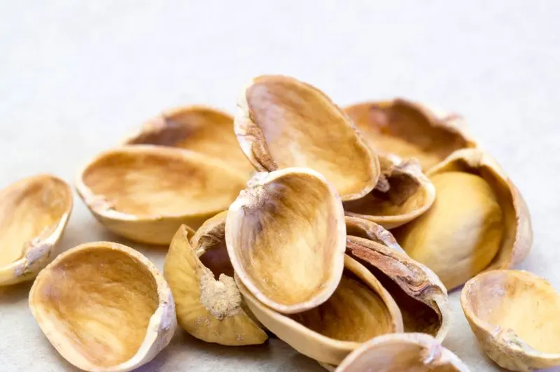 Nut Shells