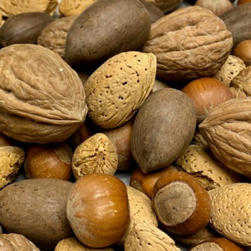 Nut Shells
