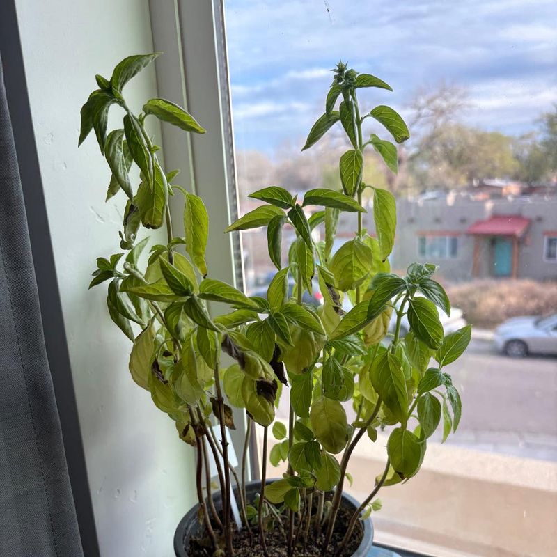 Nutrient Neglect