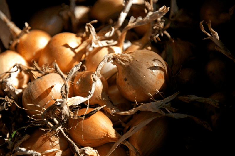 Onion Skin Soak