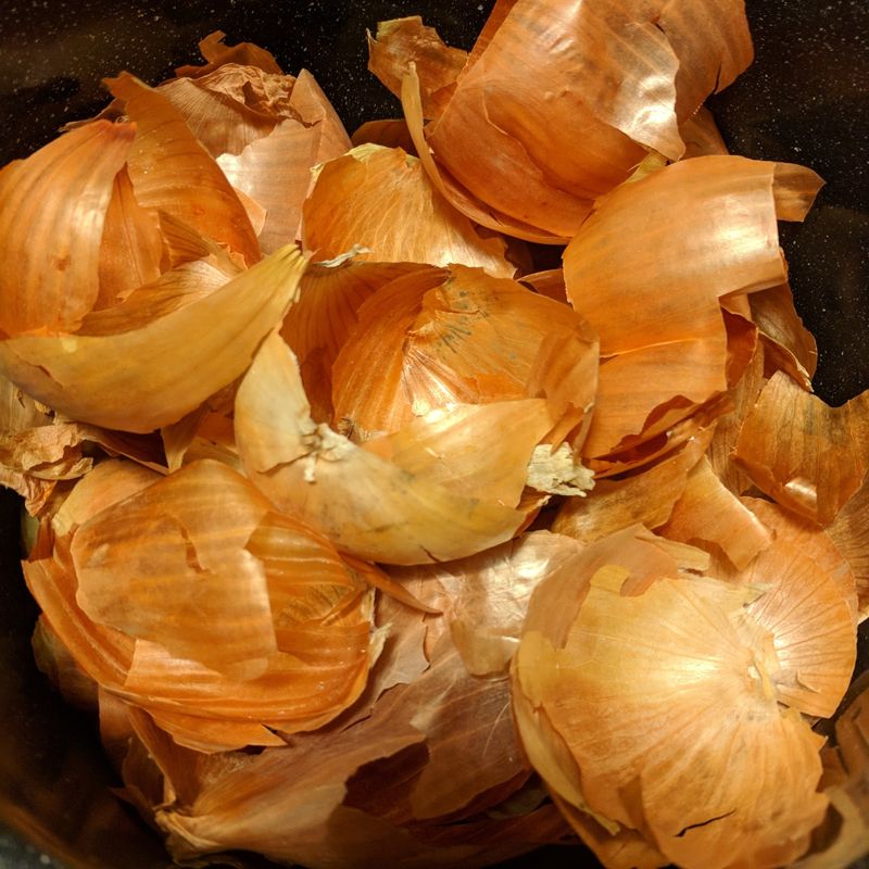 Onion Skins