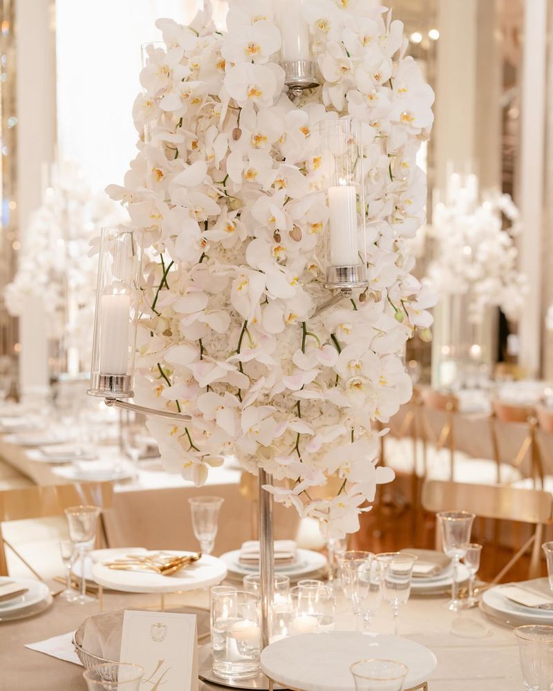 Opulent Orchids