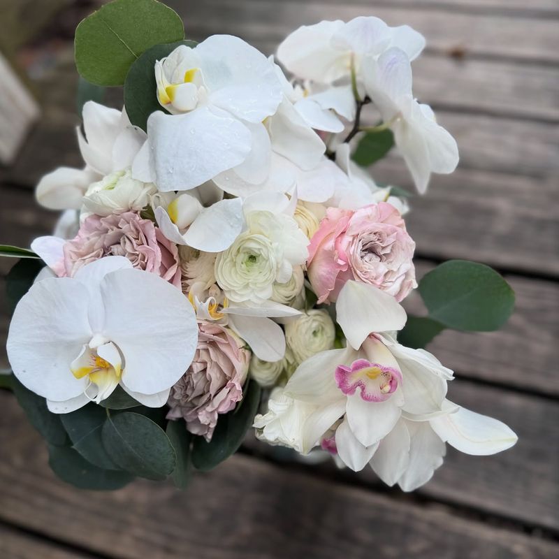 Orchid