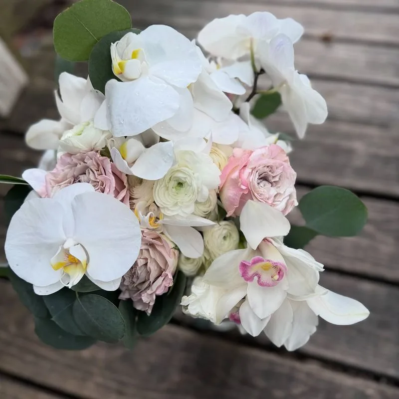 Orchid