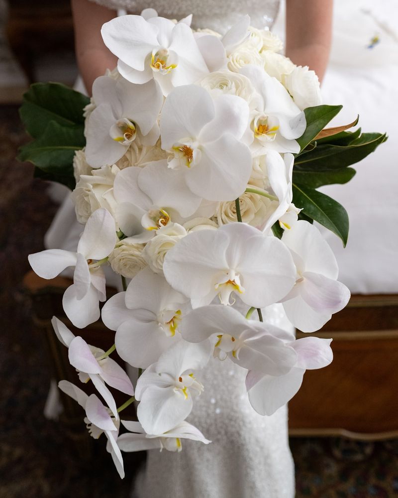 Orchids
