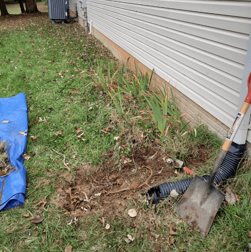 Bare Soil or Dirt Patches