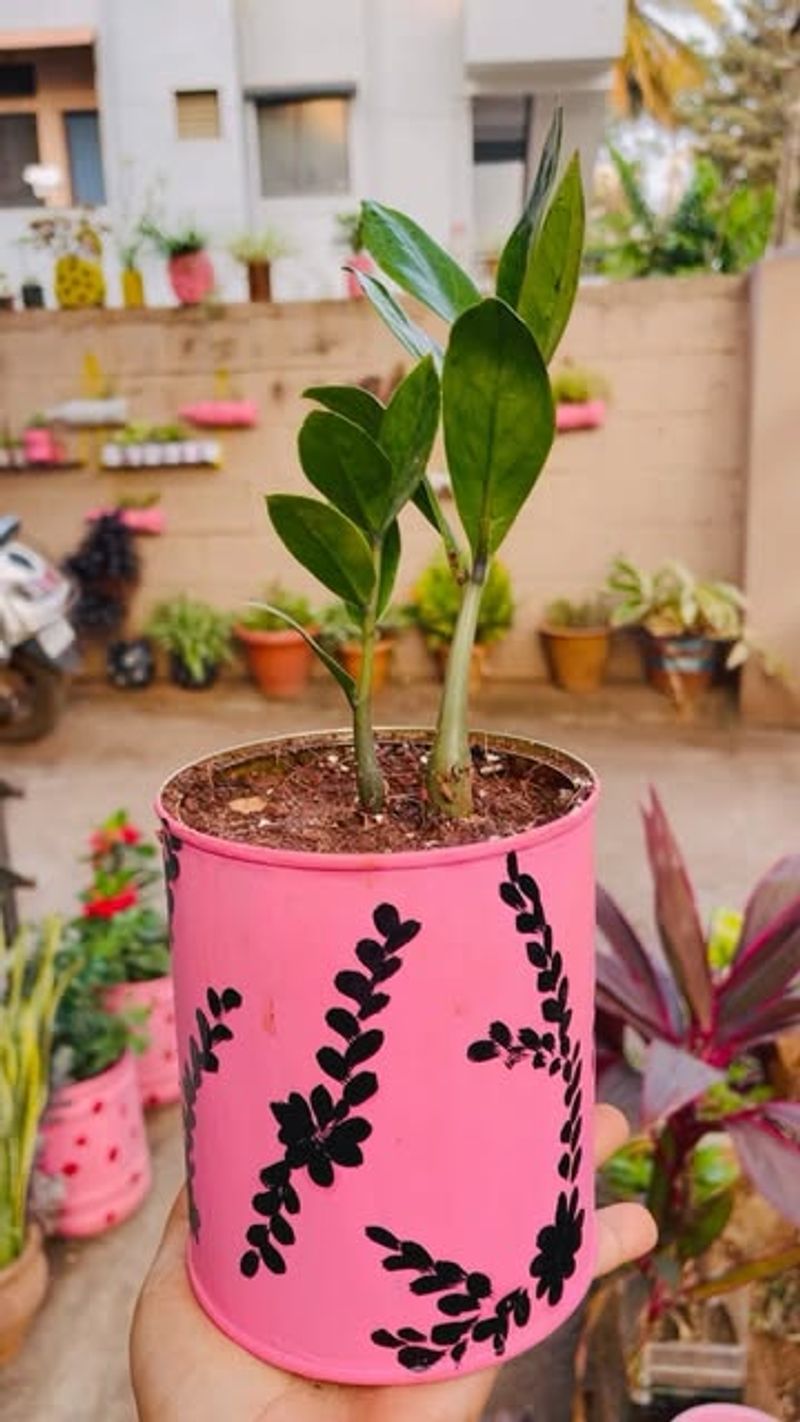 Overcrowding Plants