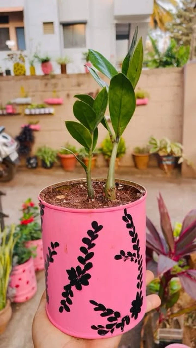 Overcrowding Plants