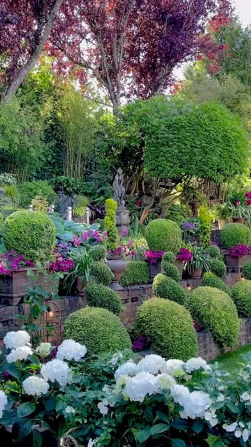 Too Many High-Maintenance Plants