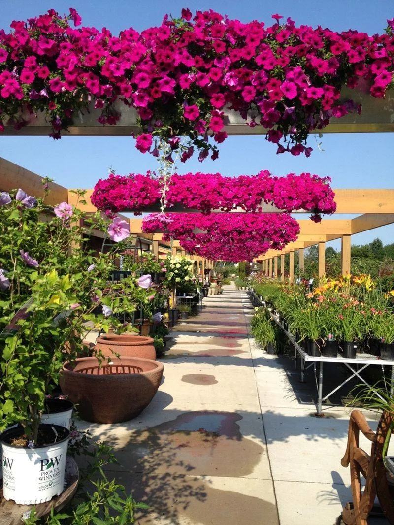Overhead Planters