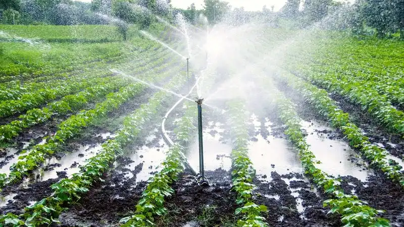Overhead Sprinklers