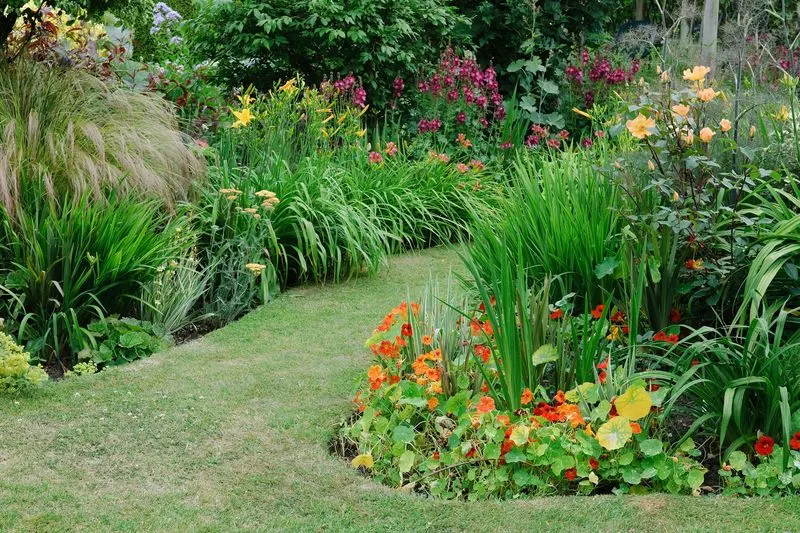 Overlooking Garden Edges