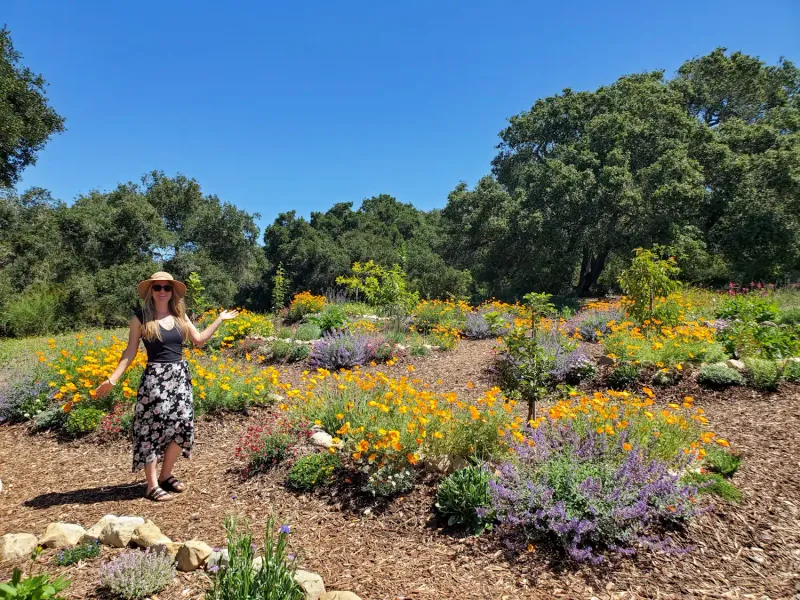 Overlooking Pollination Needs