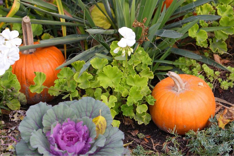 Overlooking Seasonal Adjustments