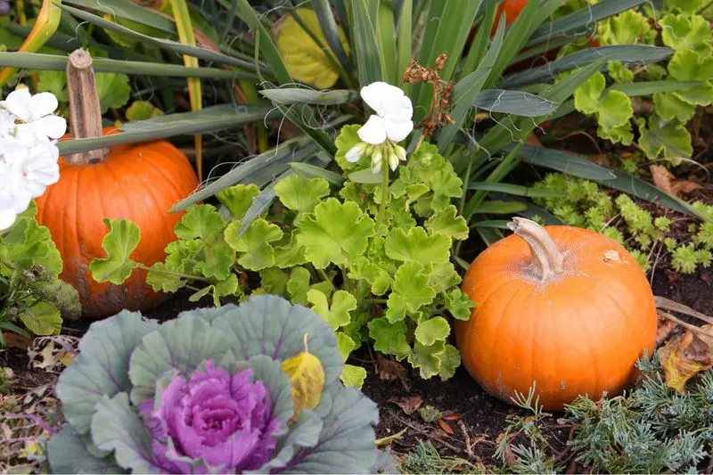 Overlooking Seasonal Adjustments