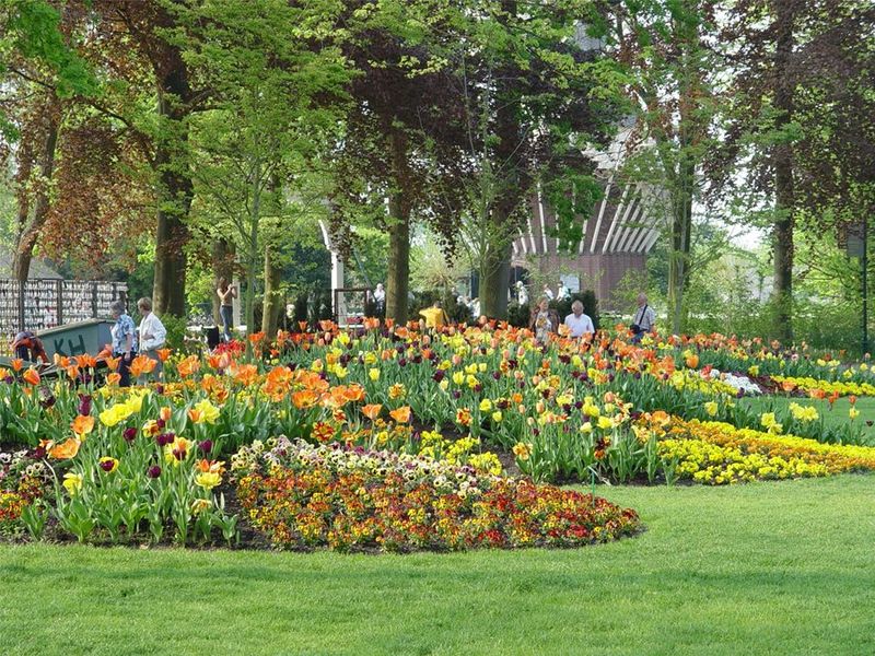 Overly Symmetrical Planting