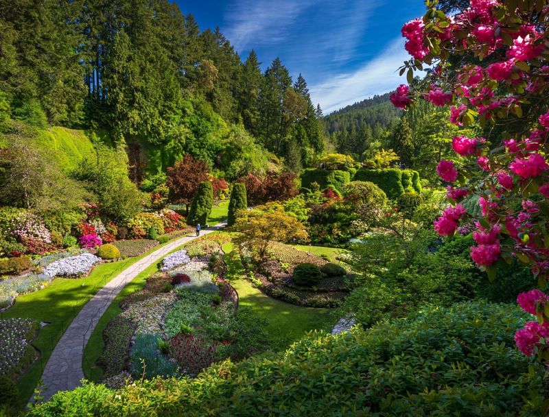 Overtly Structured Gardens