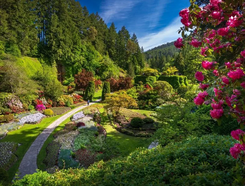 Overtly Structured Gardens