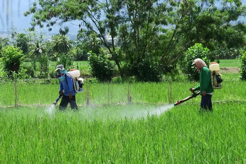 Overuse of Pesticides