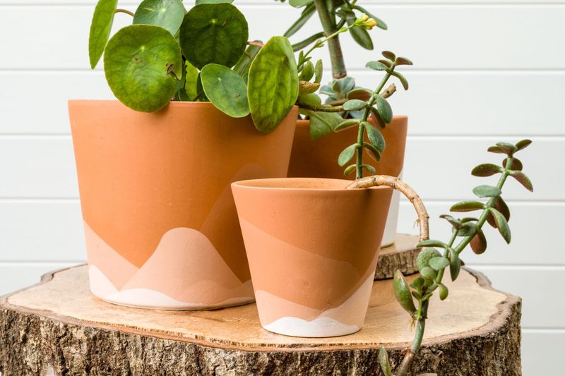 Paint Terracotta Pots