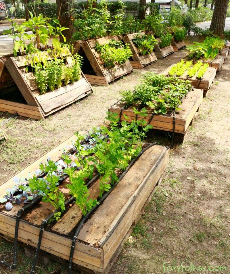 Pallet Gardens