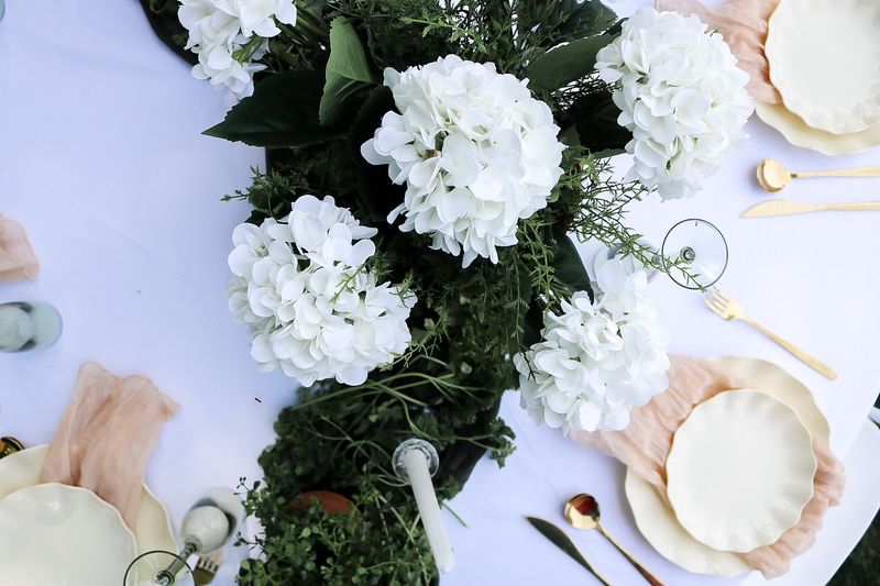Parsley
