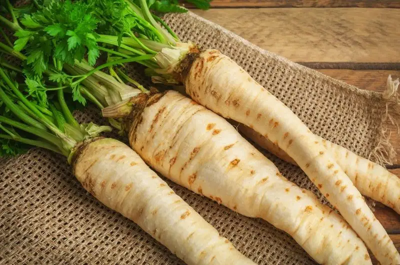 Parsnip