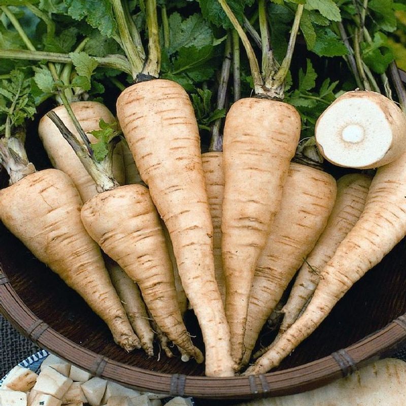 Parsnips