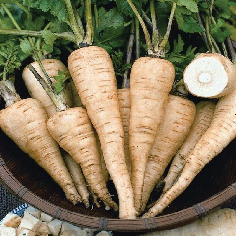 Parsnips