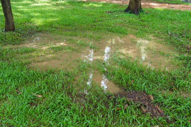 Poor Drainage and Muddy Areas