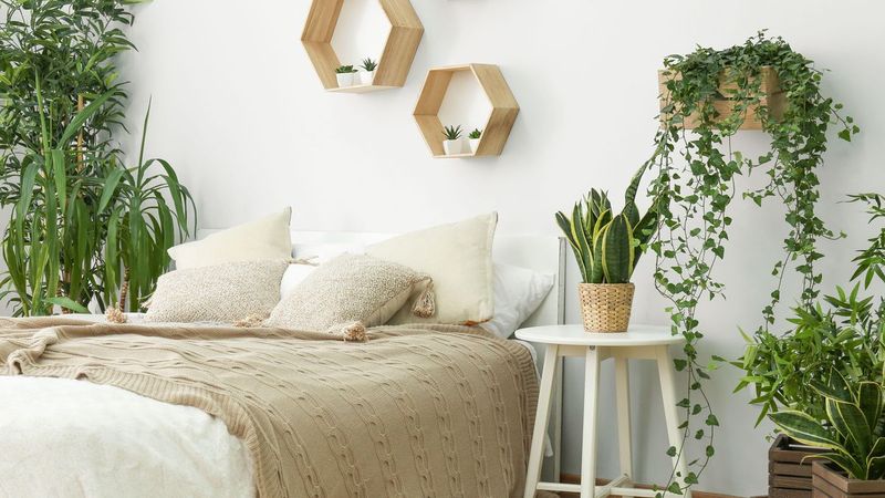 Peaceful Bedroom Retreat