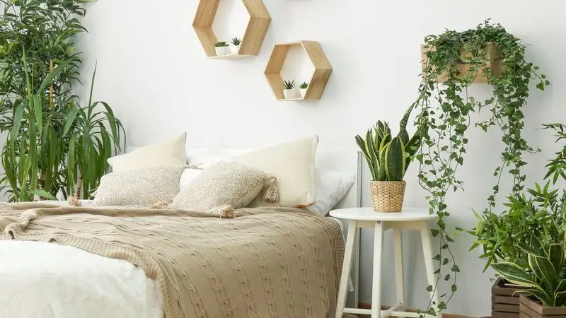 Peaceful Bedroom Retreat