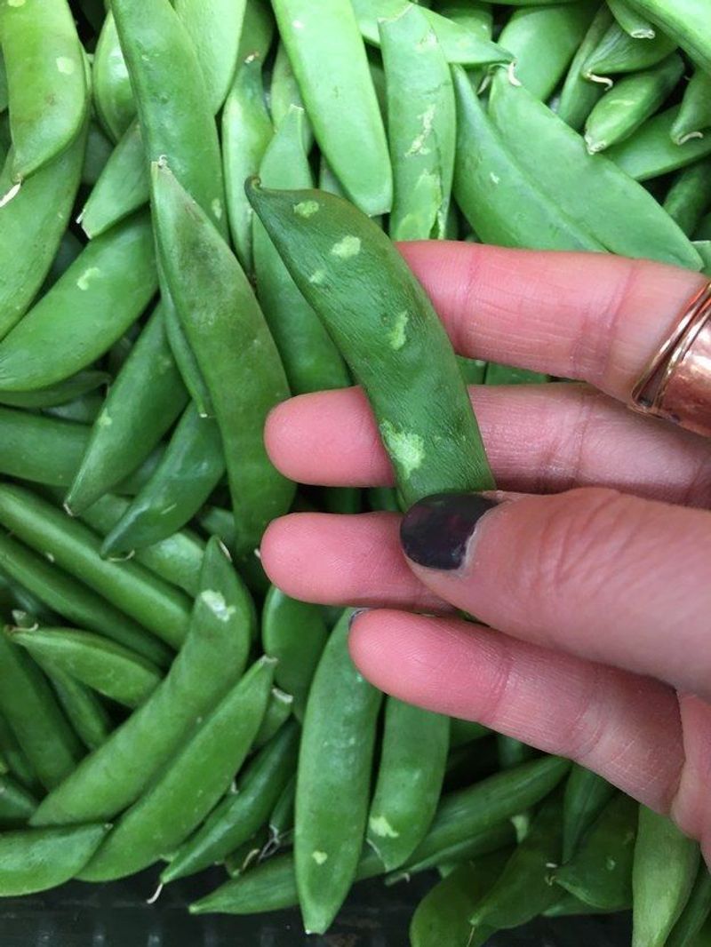 Peas