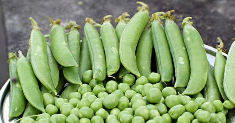 Peas