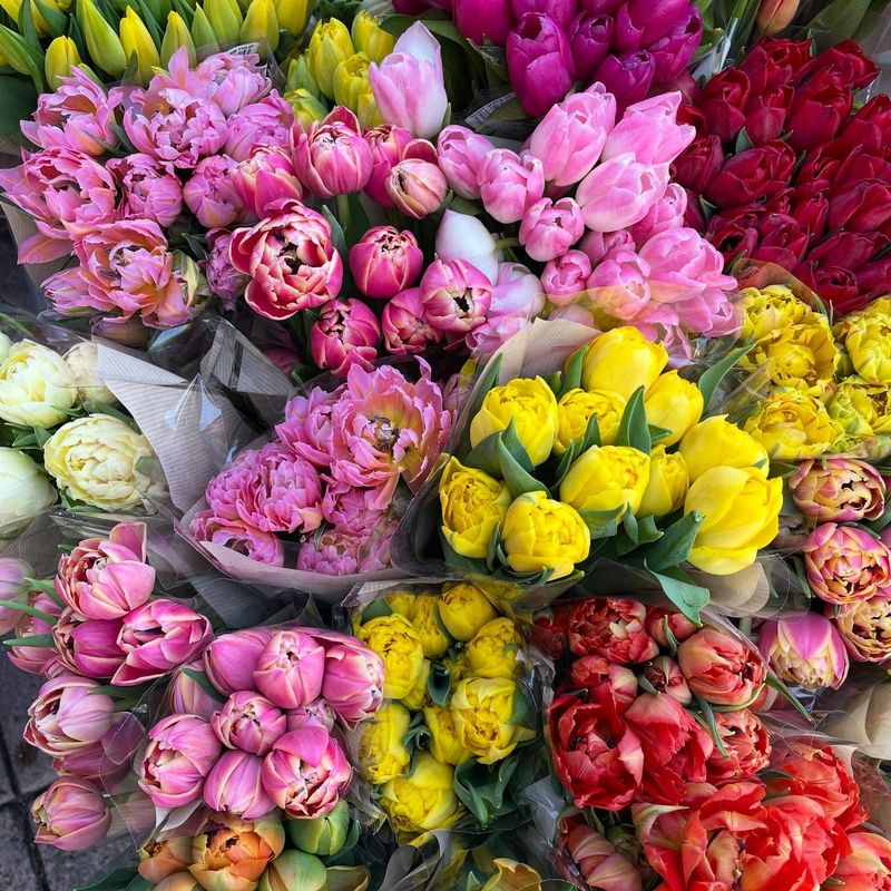 Peonies