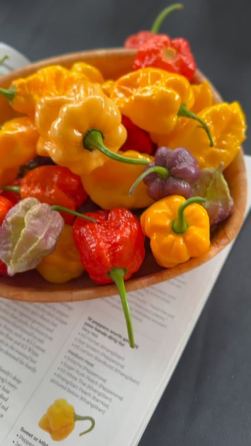 Peppers
