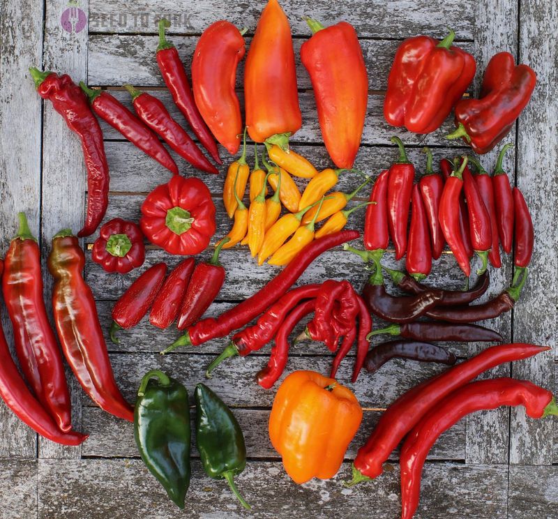 Peppers