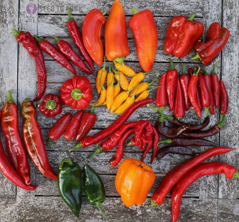 Peppers
